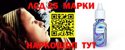 apvp Камышлов