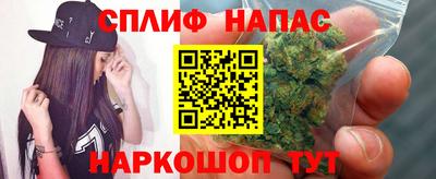 apvp Камышлов