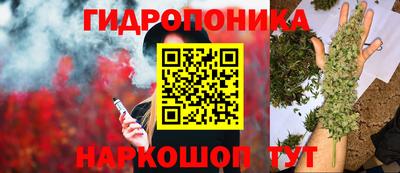 apvp Камышлов