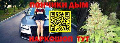 apvp Камышлов