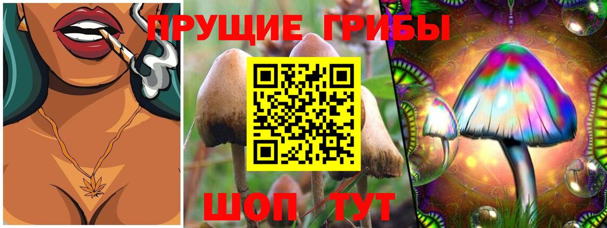 Ливны  Псилоцибиновые грибы Psilocybine cubensis  Галлюциногенные грибы MAGIC MUSHROOMS  Вход с VPN 