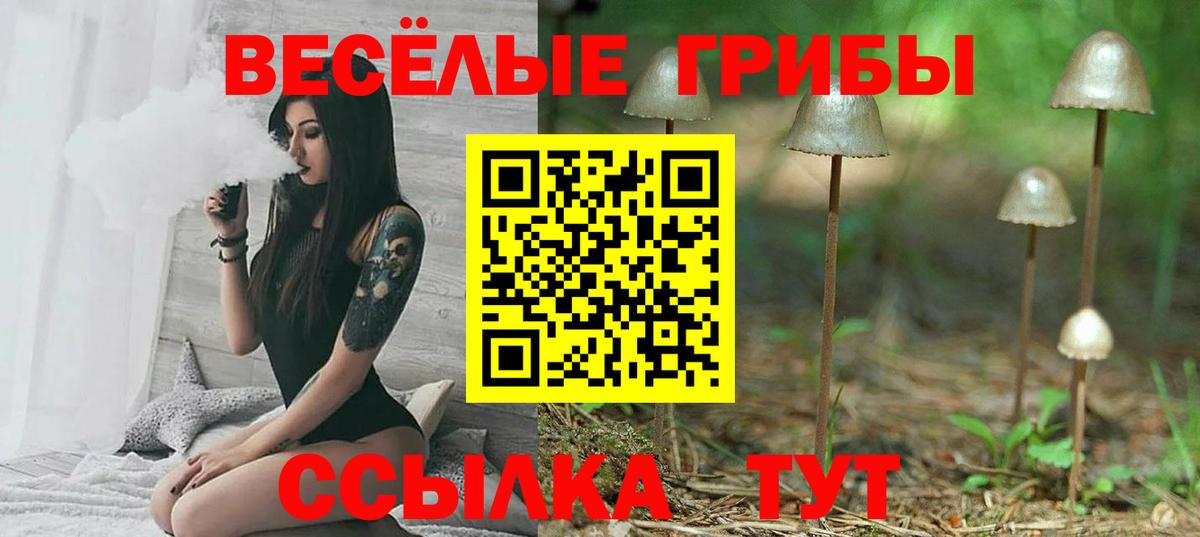 Галлюциногенные грибы ЛСД Ливны